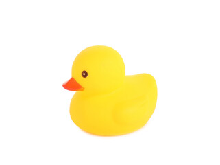 One cute rubber duck isolated on white