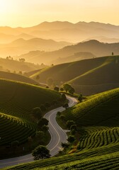 Scenic View of Winding Road Through Tea Plantations at Sunset