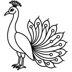 Fototapeta premium Black outline peacock with fanned tail on white background