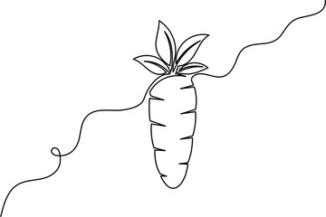 Carrot one line drawing and minimal isolated vector illustration