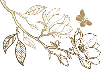 Fototapeta premium colorful magnolia flowers line art isolated on white background. Luxury magnolia floral design elements for invitation, wedding, wallpaper, print template, vector.Generative AI