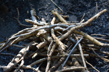 Making a campfire with brushwood in the forest. Danger in forest. Traveling, tourism, picnic cooking, cooking at the stake. Concept of scout, research, travel and survival in nature.  