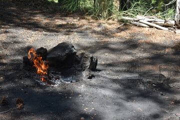 A campfire in the forest during the day. Flame of fire. Hearth for cooking and heating. Danger in forest. Traveling, tourism, picnic cooking, cooking at the stake, fire and smoke. 