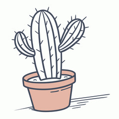 cactus in flowerpot