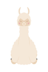 Cute cartoon llama. Vector illustration isolated on white background. Llama cartoon design, Animal cute zoo life nature character childhood and adorable theme Vector illustration