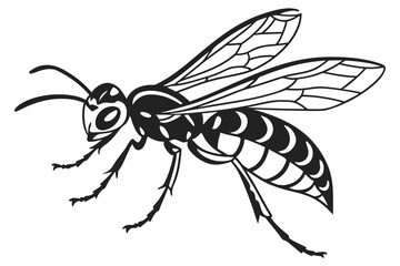 Obraz premium Wasp animal sihouette black vector