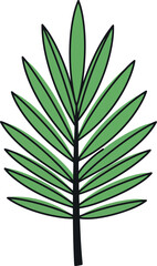 Obraz premium Green palm leaf illustration tropical plant isolated