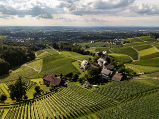 Black Forest vineyards Sasbach Germany
