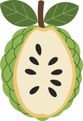 Custard apple slice tropical fruit illustration