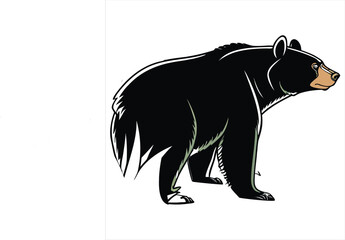 american-black-bear-vector