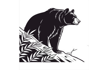 american-black-bear-vector