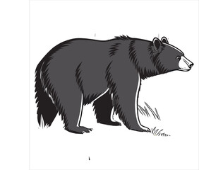 american-black-bear-vector