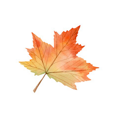 Watercolor hand drawn maple leaf with soft, delicate gradients of orange, yellow, red and green tones. Autumn vibes. Leaf fall