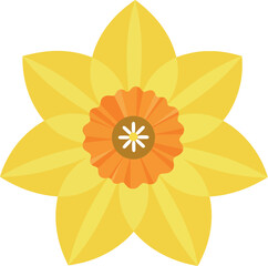 Vibrant yellow daffodil flower illustration