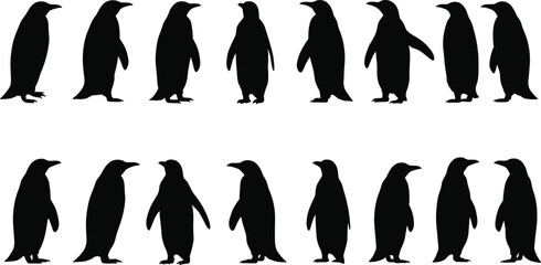Penguin silhouettes standing in rows, black and white, wildlife illustration, nature theme, animal design, educational material, vector art, stock image