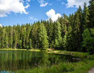 Obraz premium Serene forest lake scene