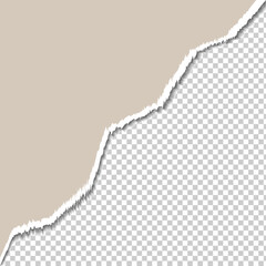 Torn Paper Edge on Transparent Background