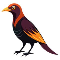 Sleek Bowerbird Vector Design White Background