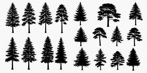 A collection of various black silhouettes of coniferous trees like pine, fir, and spruce, isolated on a transparent background.