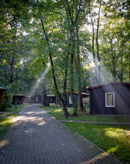 Camping place in a forest, Germany, sunny weather