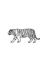 Illustration of a tiger walking with black stripes on a white background in line art style