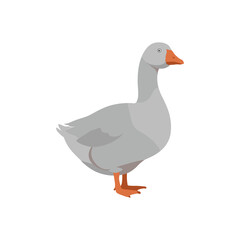 Minimalist gray goose illustrated in a flat vector style