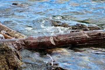 Log and rocks in Flathead Lake, Montana