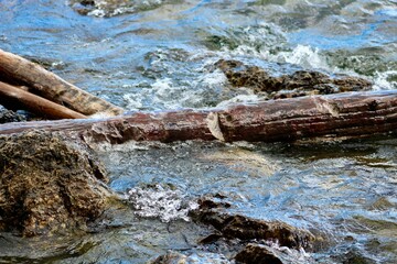 Log with flowing water at Flathead Lake State Park, Montana