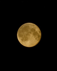 Fototapeta premium La luna 