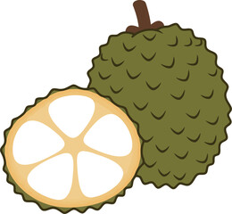Exotic guanabana fruit illustration