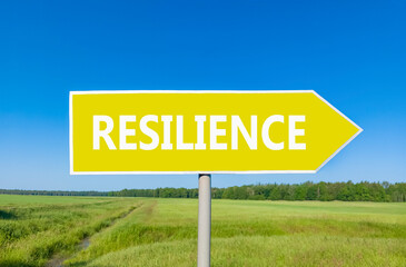 Resilience symbol. Concept word Resilience on beautiful yellow road sign. Beautiful blue sky green grass and forest peaceful nature background. Business resilience concept. Copy space.