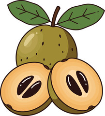 Fresh sapodilla fruit whole and halved tropical sweetness