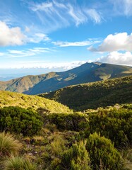 Fototapeta premium Mountain vista, lush greenery, vibrant sky
