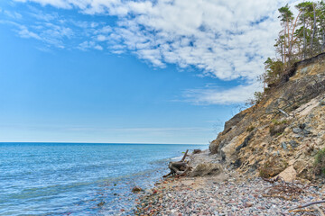 Scenic landscape of forest-covered coast of Baltic sea. Sandy beach with pebbles. Beautiful, bright sky and blue, calm water.	