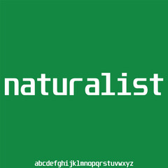 Modern minimalist sans serif alphabet display font vector for branding design