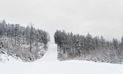 Beautiful winter mountain landscape. Winter landscape with fresh snow in a mountain forest. 