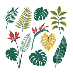 Collection of various tropical leaves and plants, isolated on white background