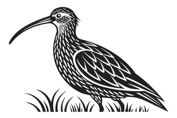 Obraz premium Stylized Black and White Curlew Bird Illustration.