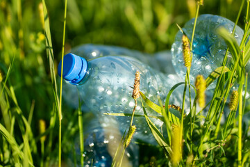 Discarded plastic bottle polluting green grassland, symbolizing careless littering, environmental neglect, and the growing impact of human waste on nature’s balance