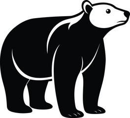 Polar bear silhouette on white background