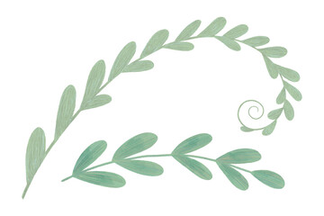 Green branches of the plant are smooth, curved, and have rounded leaves. A set of handmade illustration elements, watercolors, and pastels. For design