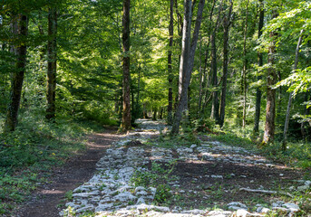 Voie romaine de Faverolles, France