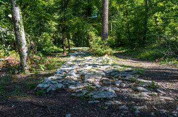 Voie romaine de Faverolles, France