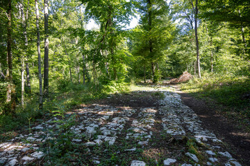 Voie romaine de Faverolles, France