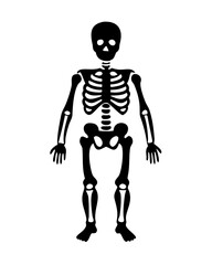 Human Skeleton Figure Medical Silhouette
