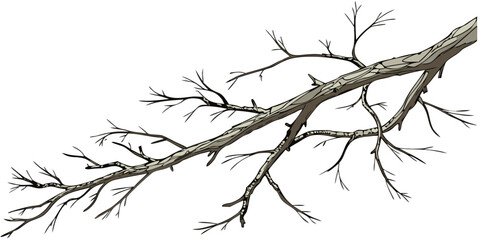Obraz premium illustration of a bare tree branch extending diagonally isolated on white background.