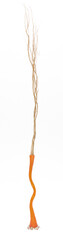 Fototapeta premium long vase with dry branches isolated on white background