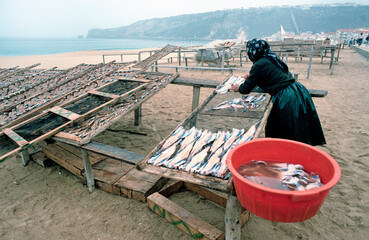 Wife of fisherman sorting the fish at a wooden frame at Nazare beach