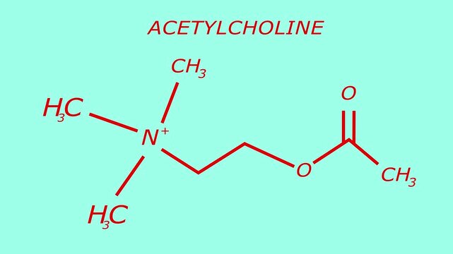 3d Abstract acetylcholine or ACH molecular structure symbol with a black background animation
