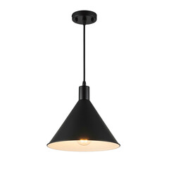 Fototapeta premium Modern black industrial pendant light fixture